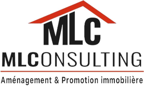 ML Consulting
